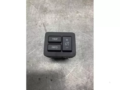 Cruise Control Bediening-8097267 (20769793)