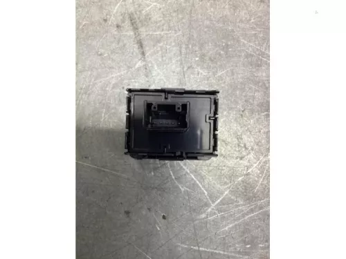 Cruise Control Bediening-8097267 (20769793)