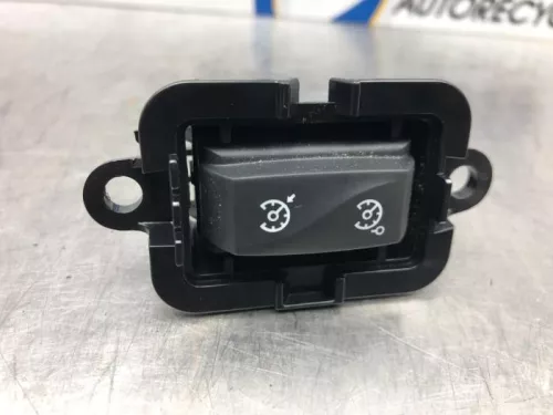 Cruise Control Bediening-7324506 (17102047)
