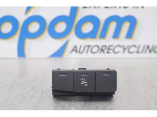 Cruise Control Bediening-7738566 (14160715)