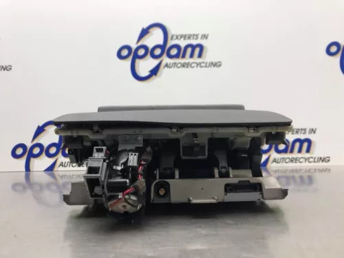 Display Multi Media regelunit-8203016 (21217961)