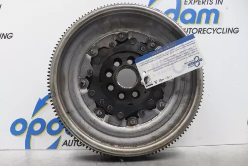 Dubbele massa vliegwiel-7582883 (15277716)