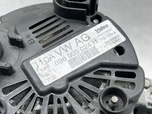 Dynamo-8273960 (22345963)