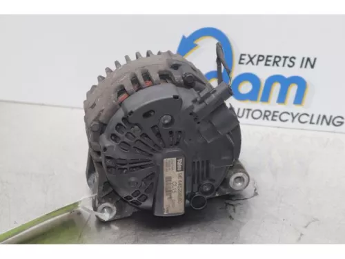 Dynamo-7877791 (14237174)