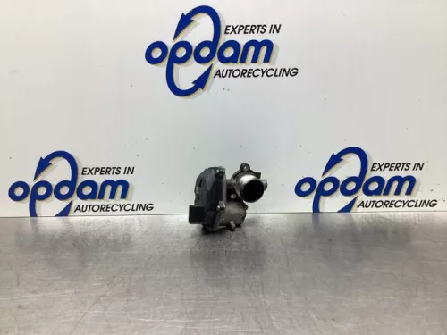 EGR Klep-