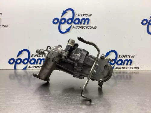 EGR Klep-8080654