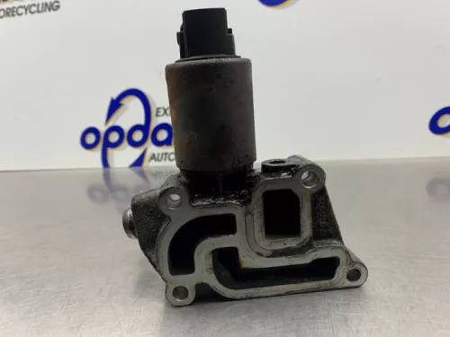 EGR Klep-8253311 (21554555)