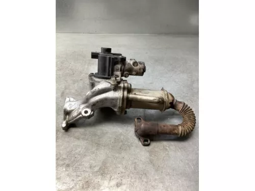 EGR Klep-