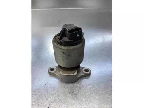 EGR Klep-