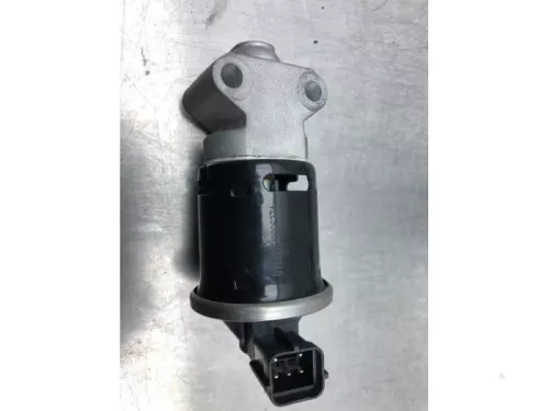 EGR Klep-7613593