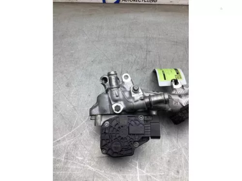 EGR Klep- (22521117)