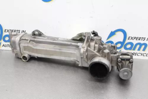 EGR Klep-