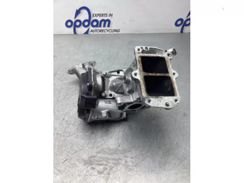 EGR Klep-