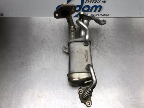 EGR koeler- (16542325)
