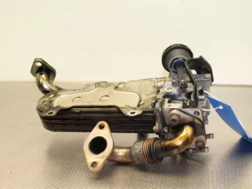 EGR koeler-7888987 (6740552)
