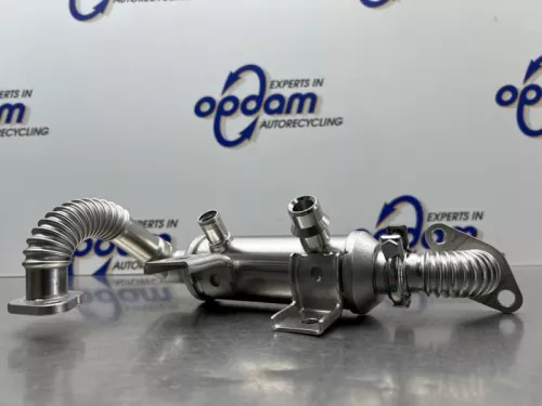 EGR koeler- (16455434)