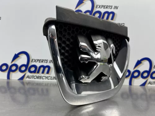 Embleem-8300416 (22302845)