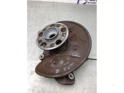 Fusee rechts-achter-8201781 (21049988)
