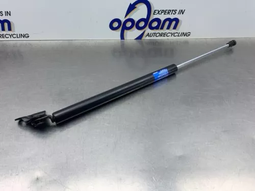 Gasdemper links-achter-8310562 (22559046)
