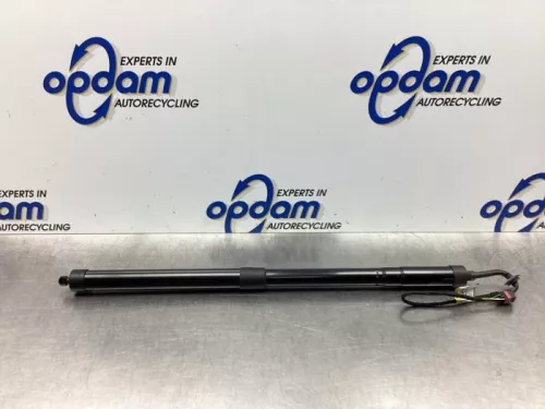 Gasdemper links-achter-