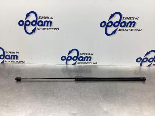 Gasdemper Motorkap links-7928022 (18974607)