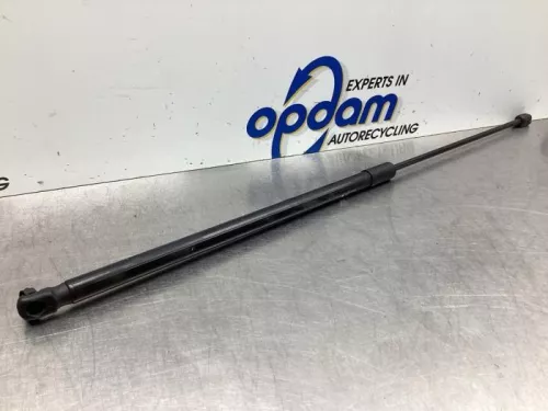 Gasdemper Motorkap links-7928022 (18974607)