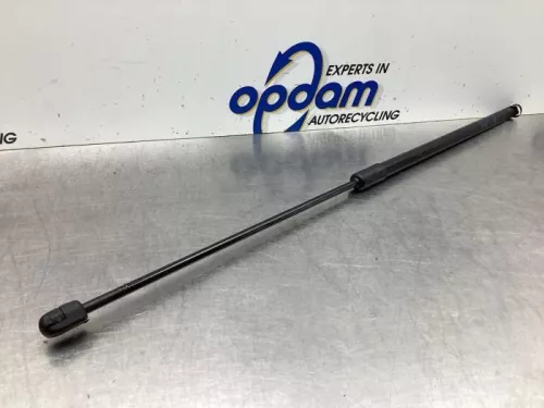 Gasdemper Motorkap links-7928022 (18974607)