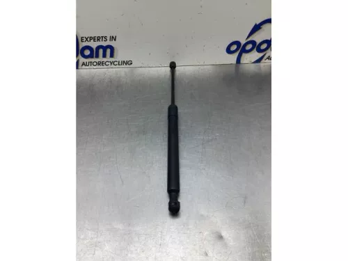 Gasdemper Motorkap links-8048548 (19481445)