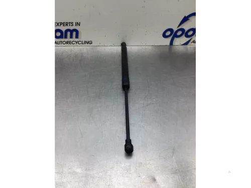 Gasdemper Motorkap links-8048548 (19481445)
