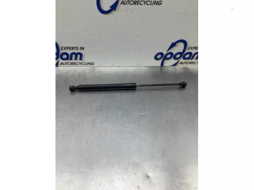 Gasdemper Motorkap links-8048548 (19481445)