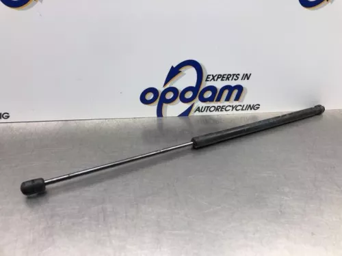 Gasdemper Motorkap links-8156832 (21020988)