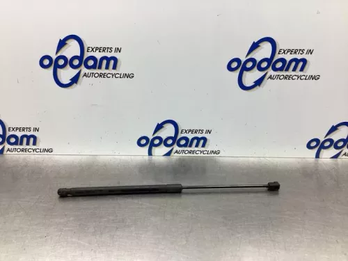 Gasdemper Motorkap links-7933937 (18648270)