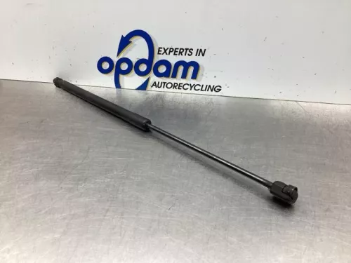 Gasdemper Motorkap links-7933937 (18648270)