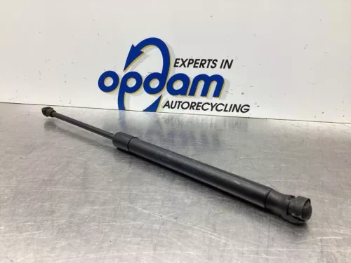 Gasdemper Motorkap links-7920377 (18463255)