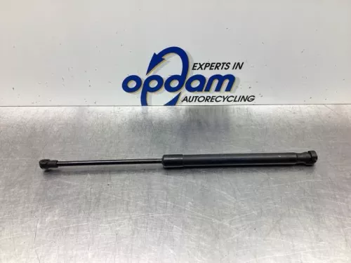 Gasdemper Motorkap links-7920377 (18463255)