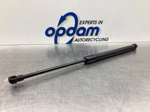 Gasdemper Motorkap links-7920377 (18463255)