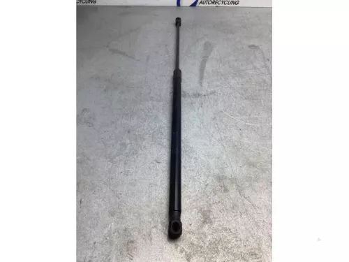 Gasdemper Motorkap links-7981015 (17991671)