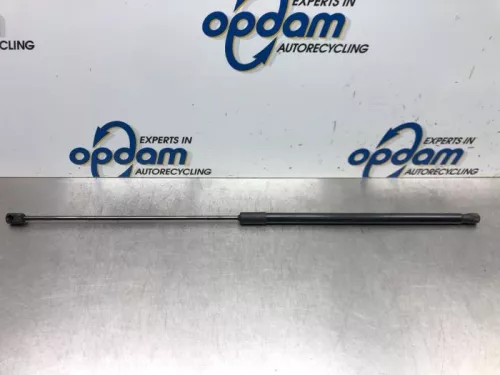 Gasdemper Motorkap links-6747991 (16933019)