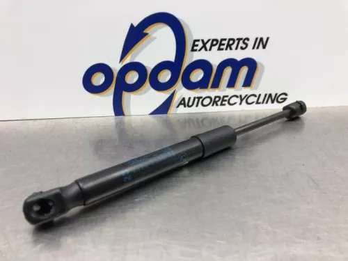 Gasdemper Motorkap Set-8176299 (20564469)