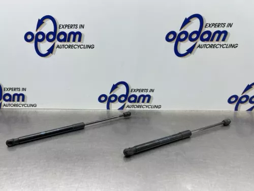 Gasdemper Motorkap Set-8118981 (21953554)