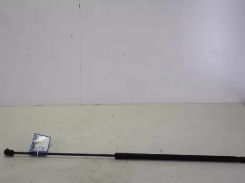 Gasdemper Motorkap Set-7887319 (8289602)
