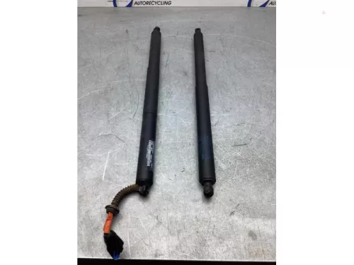Gasdemperset Kofferdeksel-7932071 (18652973)
