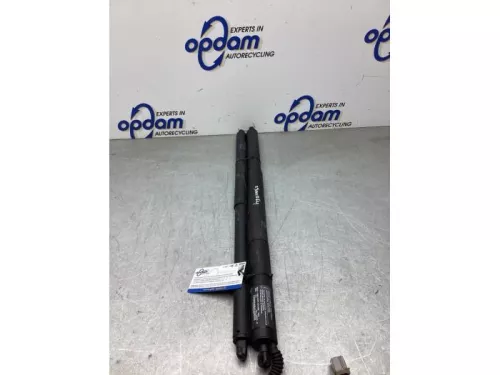 Gasdemperset Kofferdeksel-8068977 (22561978)