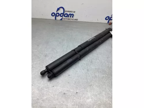 Gasdemperset Kofferdeksel-8068977 (22561978)