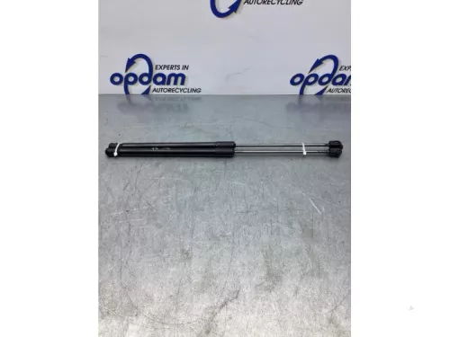 Gasdemperset Kofferdeksel-7868537 (17319100)