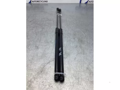 Gasdemperset Kofferdeksel-7868537 (17319100)
