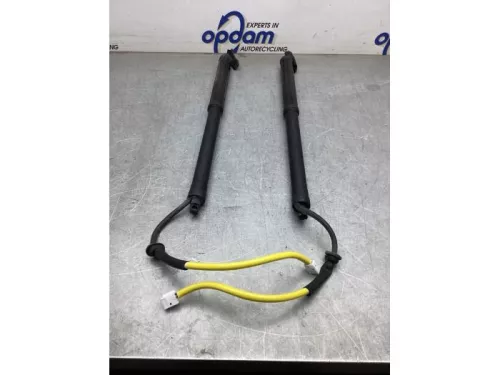 Gasdemperset Kofferdeksel-8175775