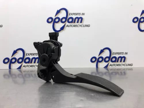 Gaspedaal-8212466