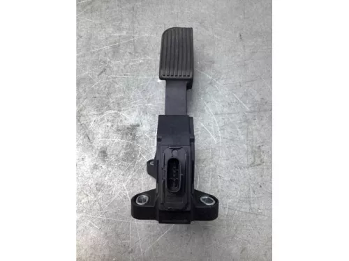 Gaspedaalpositie Sensor-8044990 (19816752)