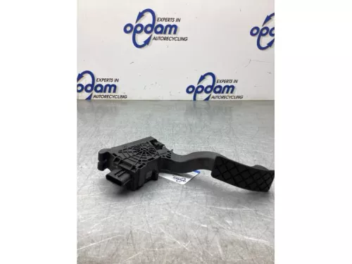 Gaspedaalpositie Sensor-8241374 (22574781)